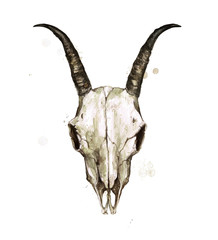 Goat Skull. Watercolor Illustration.