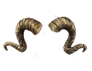 Ram horns. Watercolor Illustration.