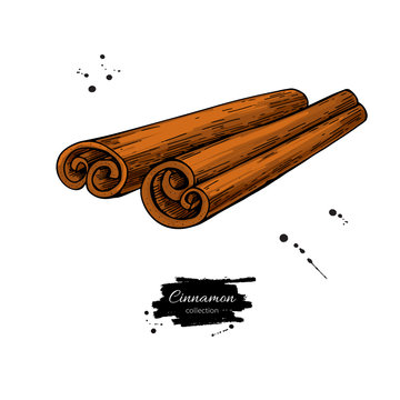 Cinnamon stick vector drawing. Hand drawn sketch.