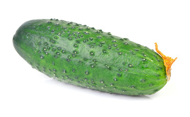 Fresh cucumber