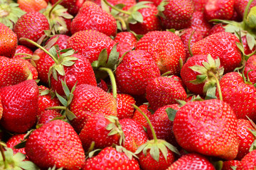 Strawberry fruit