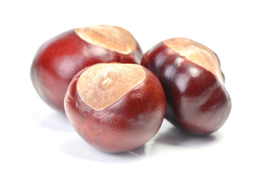 Chestnuts on a white background