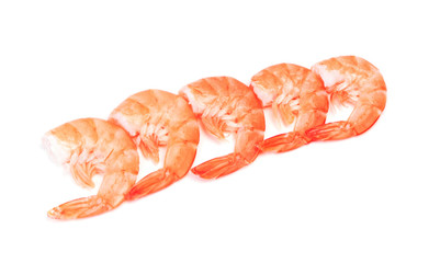Shrimp on a white background