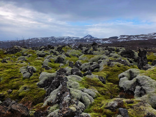 Fototapeta na wymiar lava fields in Iceland