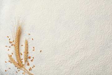 Spikelets and grains on wheat flour