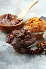Chocolate muffin and nut muffin, homemade bakery on grey background