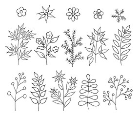 A set of hand-drawn doodle cartoon plants. Vector floral design elements