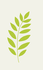 Branch of plant hand drawn outline doodle vector icon