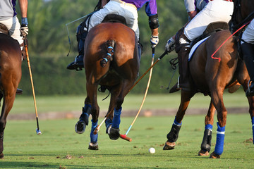 back image of the horse polo player during the match.