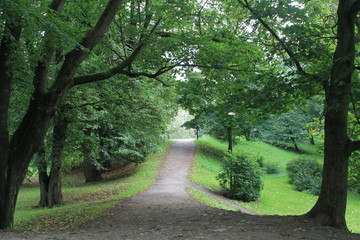Percorso nel parco