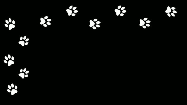 Paw prints animal walking on different black perimeter.  Traces of the predator animated in isolation.