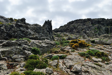 Monte Tratzalis, Sinnai
