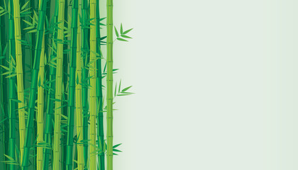 Fototapeta premium Green bamboo background. Vector illustration