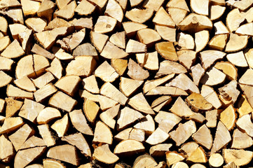 Chopped wood, stacked in a woodpile.