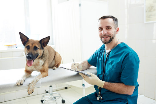 Young successful vet clinician in uniform making notes in medical card of his patient