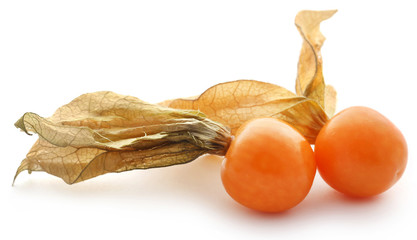 Fresh edible physalis