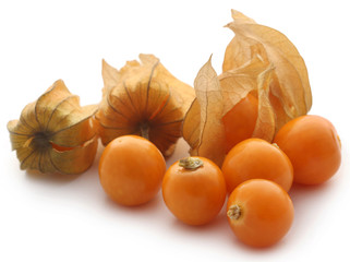 Fresh edible physalis