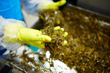 Worker of seafood processing factory holding and showing seaweed salad © pressmaster