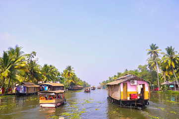 Fototapeta na wymiar Houseboats in backwaters