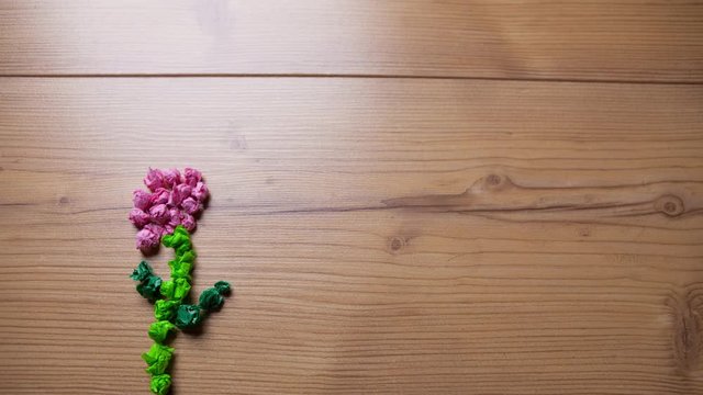 stop motion of a growing a flower and a butterfly