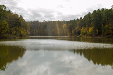 Fototapeta na wymiar trees around lake