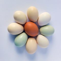 Colorful pastel eggs on a white background. Concept -  Easter, healthy food, organic products, farm products.