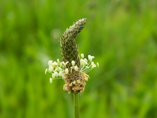 EPI QUI DONNE LA BONNE DIRECTION