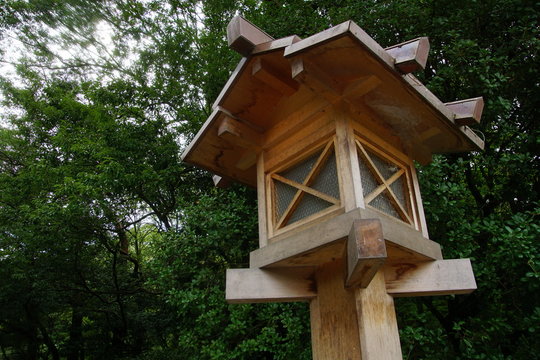 神社の灯篭と森