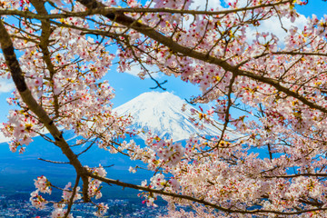 The Mount Fuji.Foreground is a cherry blossoms.The shooting location is Fujiyoshida City, Yamanashi Prefecture, Japan.