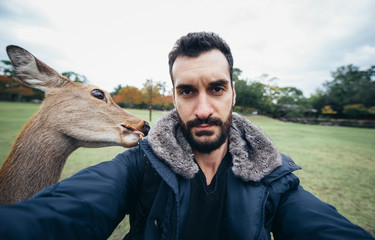 Deers and animals in Nara park, kyoto, Japan