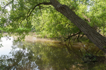 Green park is summer time