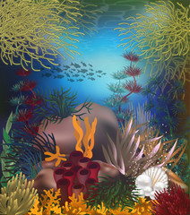 Fototapeta na wymiar Tropical underwater background with pearls , vector illustration