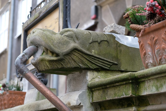 Gdańsk, Stare Miasto, Polska - rzygacz (rynna) na ulicy Mariackiej