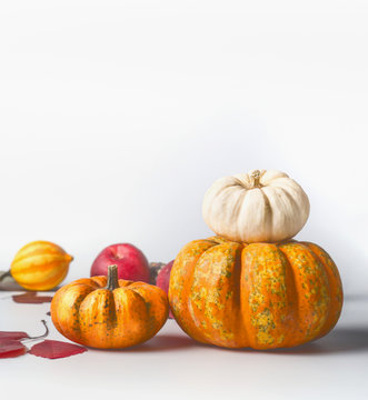 Pumpkins with autumn leaves on white background, front view, copy space for text