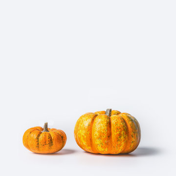 Two ripe pumpkins on white background, front view, copy space for text