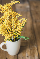 branch of yellow mimosa in cup on background of boards