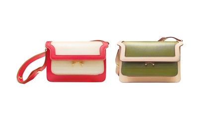 women fashion accessories -  luxury sling bag on white background