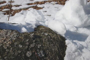 a rock with lichens on. snow melting in the spring