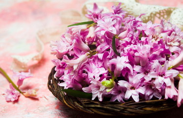 Fresh hyacinth spring flowers in a bowl