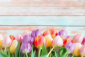 Close up of red tulips on wooden background.