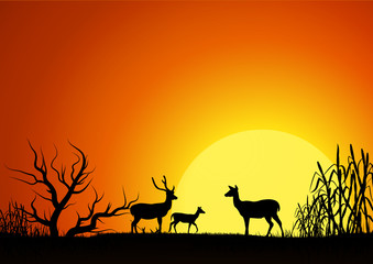 Fototapeta na wymiar Silhouette of three deer in the garden,on natural background