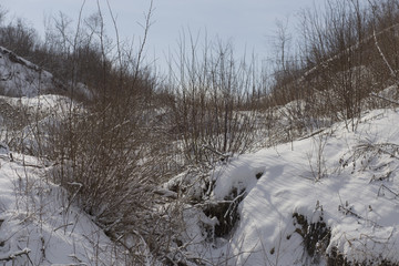 Winter landscape with snow. A frozen forest. The outskirts of the city, in March. The Bugeac steppe in the spring. The terrain in southern Europe.