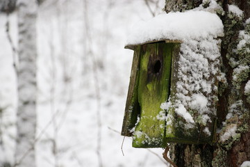 snowy old birdhouse