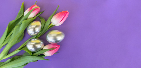 Tulips with silver eggs on purple background, Easter