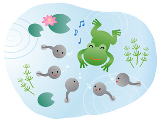 カエルとおたまじゃくし