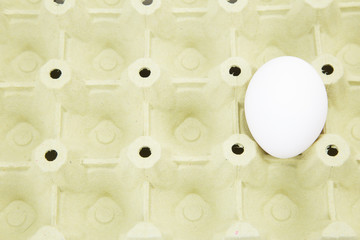 White chicken egg in egg cardboard tray.