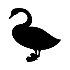 Vector image of a silhouette of a bird swan