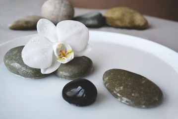 Spa stones and beautiful white orchid flower .