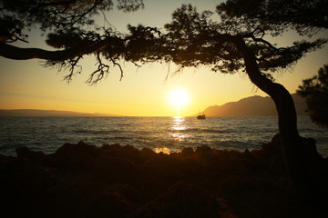 Sunset over the Sea with Boat and Trees Silhouette, Croatia