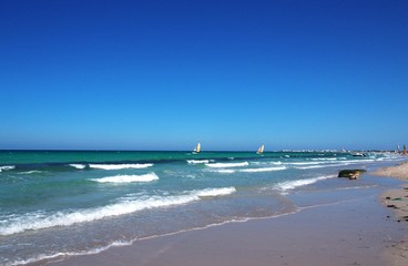 Sailboats in the sea